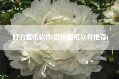 好的壁纸软件(好的壁纸软件推荐)