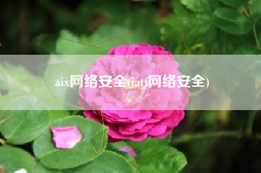 aix网络安全(iatf网络安全)