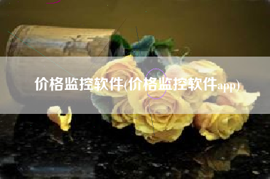价格监控软件(价格监控软件app)