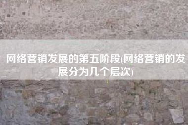 网络营销发展的第五阶段(网络营销的发展分为几个层次)