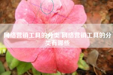 网络营销工具的分类 网络营销工具的分类有哪些