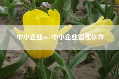 中小企业seo 中小企业管理软件