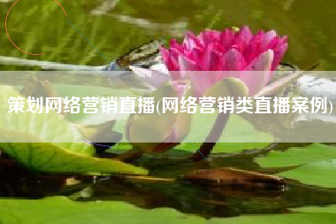 策划网络营销直播(网络营销类直播案例)