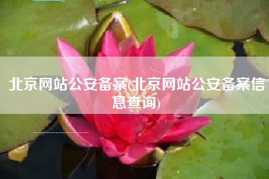 北京网站公安备案(北京网站公安备案信息查询)