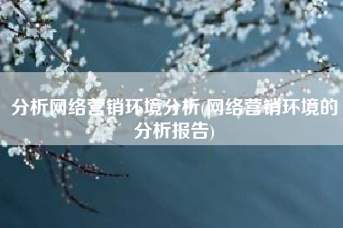 分析网络营销环境分析(网络营销环境的分析报告)