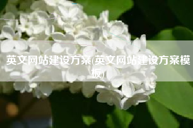 英文网站建设方案(英文网站建设方案模板)
