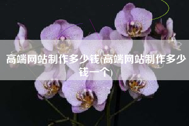 高端网站制作多少钱(高端网站制作多少钱一个)