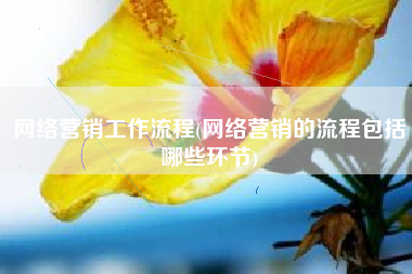 网络营销工作流程(网络营销的流程包括哪些环节)