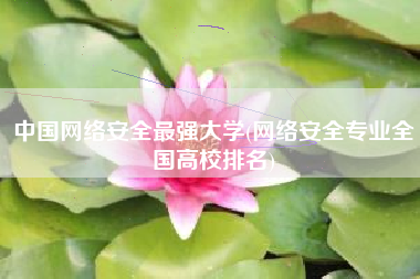 中国网络安全最强大学(网络安全专业全国高校排名)