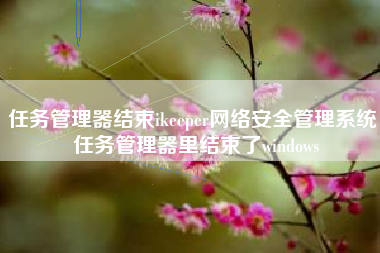 任务管理器结束ikeeper网络安全管理系统 任务管理器里结束了windows