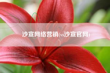 沙宣网络营销(vs沙宣官网)