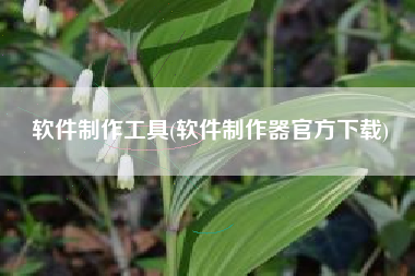 软件制作工具(软件制作器官方下载)
