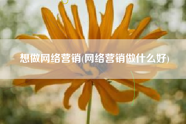 想做网络营销(网络营销做什么好)