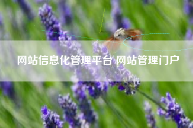 网站信息化管理平台 网站管理门户