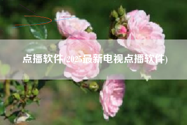 点播软件(2025最新电视点播软件)