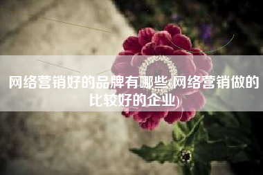 网络营销好的品牌有哪些(网络营销做的比较好的企业)