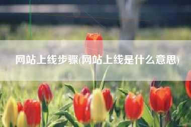 网站上线步骤(网站上线是什么意思)