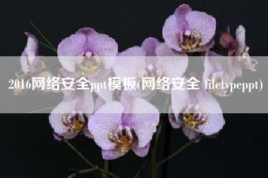 2016网络安全ppt模板(网络安全 filetypeppt)
