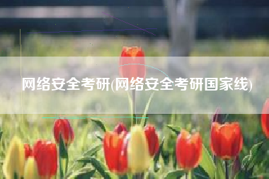 网络安全考研(网络安全考研国家线)