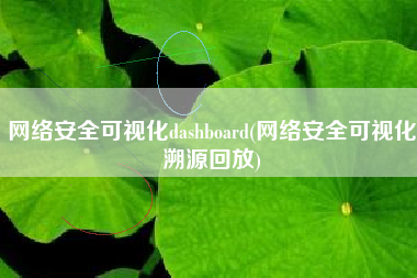 网络安全可视化dashboard(网络安全可视化溯源回放)