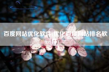 百度网站优化软件(优化百度网站排名软件)