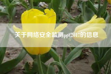 关于网络安全监测ppt2017的信息