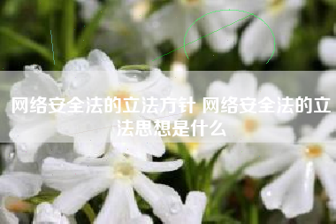 网络安全法的立法方针 网络安全法的立法思想是什么