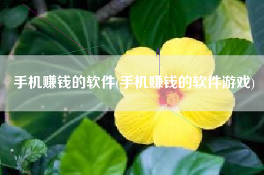 手机赚钱的软件(手机赚钱的软件游戏)
