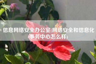 信息网络安全办公室(网络安全和信息化事务中心怎么样)