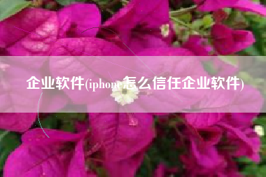 企业软件(iphone怎么信任企业软件)