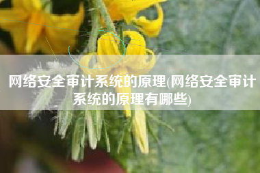 网络安全审计系统的原理(网络安全审计系统的原理有哪些)