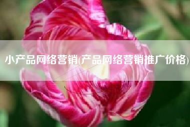 小产品网络营销(产品网络营销推广价格)