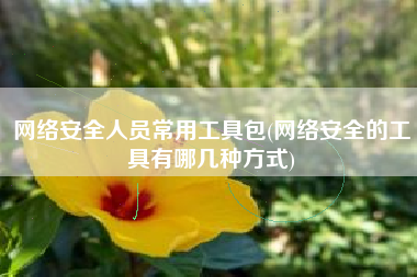 网络安全人员常用工具包(网络安全的工具有哪几种方式)