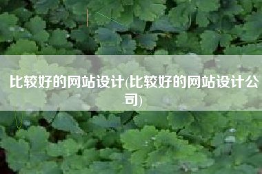 比较好的网站设计(比较好的网站设计公司)
