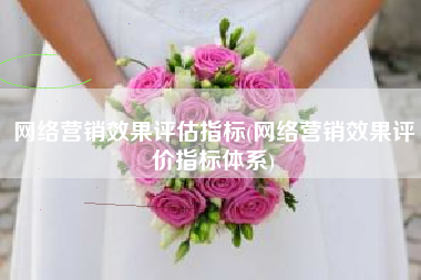 网络营销效果评估指标(网络营销效果评价指标体系)
