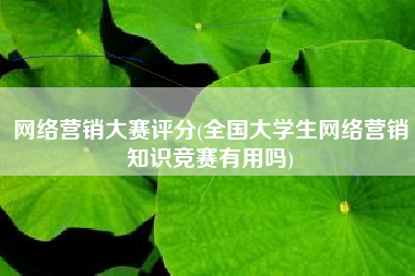 网络营销大赛评分(全国大学生网络营销知识竞赛有用吗)