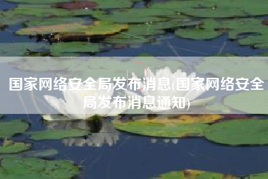 国家网络安全局发布消息(国家网络安全局发布消息通知)