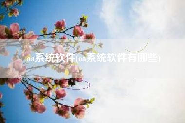 oa系统软件(oa系统软件有哪些)