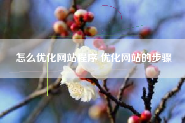 怎么优化网站程序 优化网站的步骤