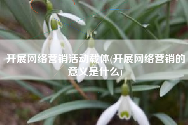 开展网络营销活动载体(开展网络营销的意义是什么)