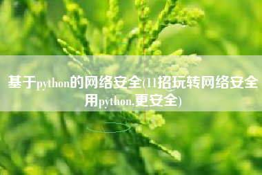 基于python的网络安全(11招玩转网络安全用python,更安全)