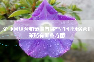 企业网络营销策略有哪些(企业网络营销策略有哪些方面)