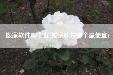 搬家软件哪个好(搬家软件哪个最便宜)