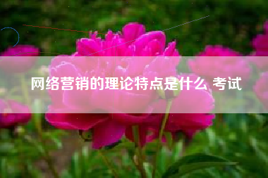 网络营销的理论特点是什么 考试