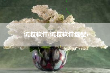 试妆软件(试妆软件选型)