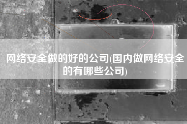 网络安全做的好的公司(国内做网络安全的有哪些公司)