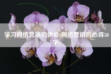 学习网络营销的体会(网络营销的心得50字)