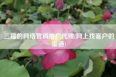 三福的网络营销推广代理(网上找客户的渠道)
