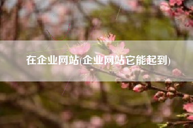 在企业网站(企业网站它能起到)