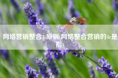 网络营销整合4i原则(网络整合营销的4c是指)